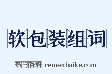 软包装组词是什么意思的图片